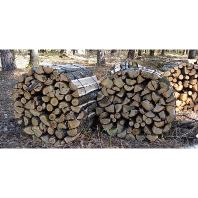 Agriculture, forêt