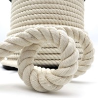 Twisted rope