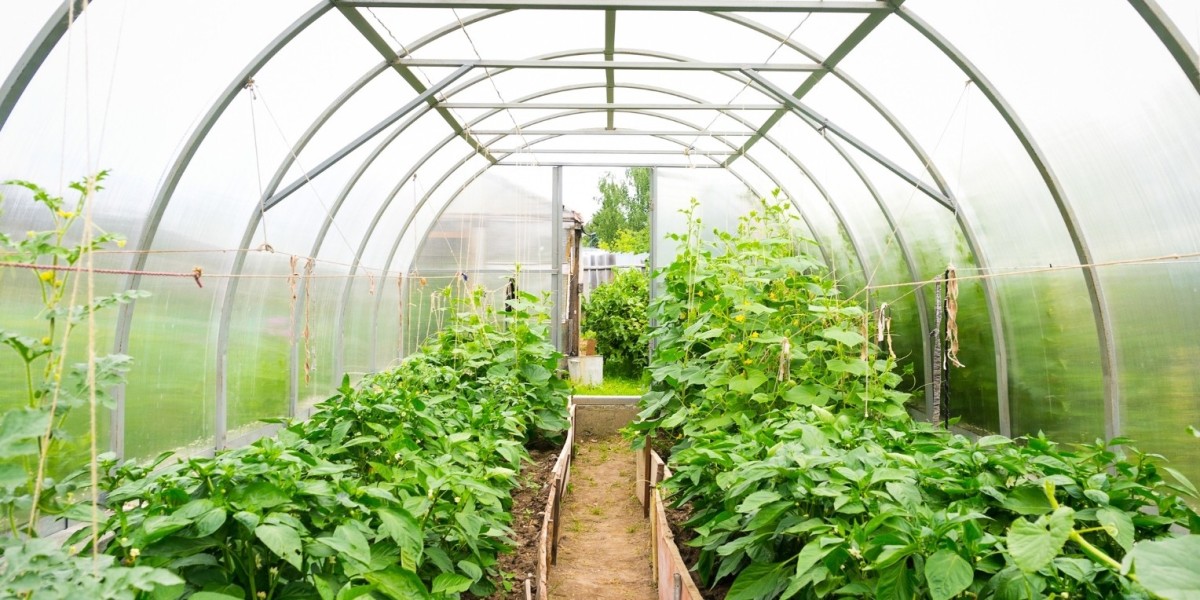 Maraîchage, horticulture