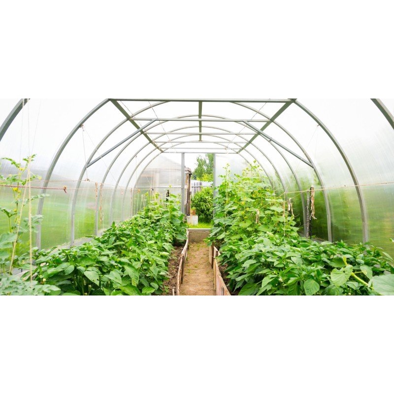 Maraîchage, horticulture