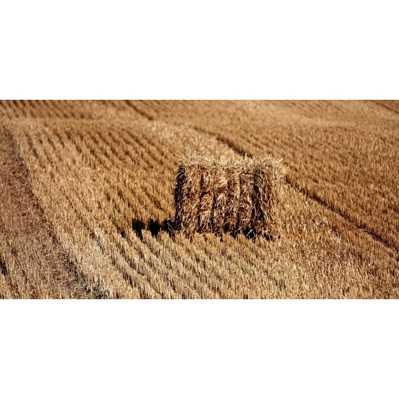 Bottelage, liage