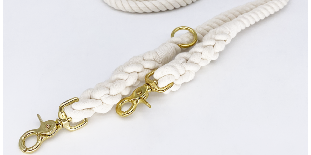 Laisse paracord