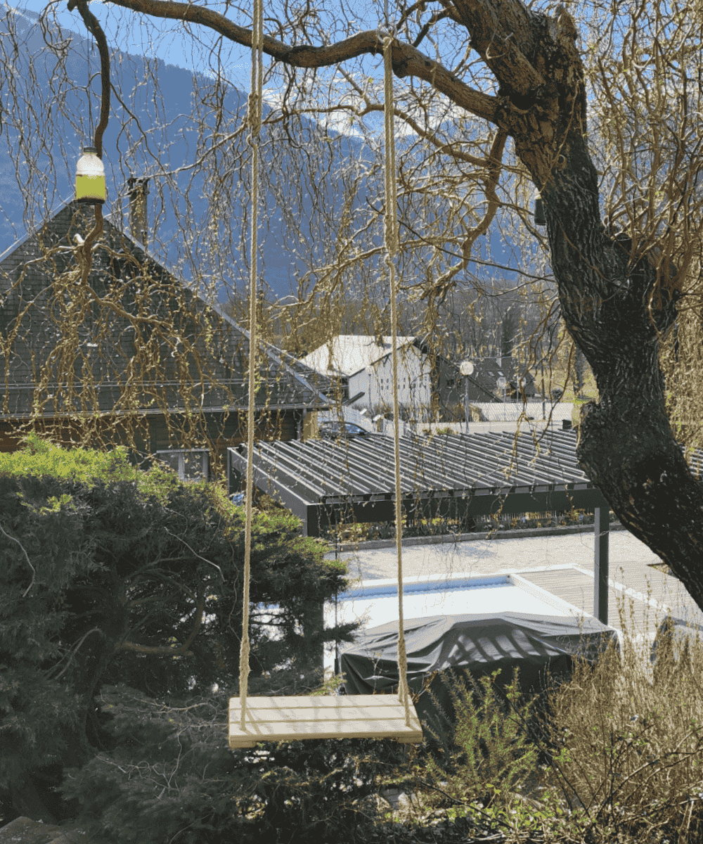 Balançoire arbre