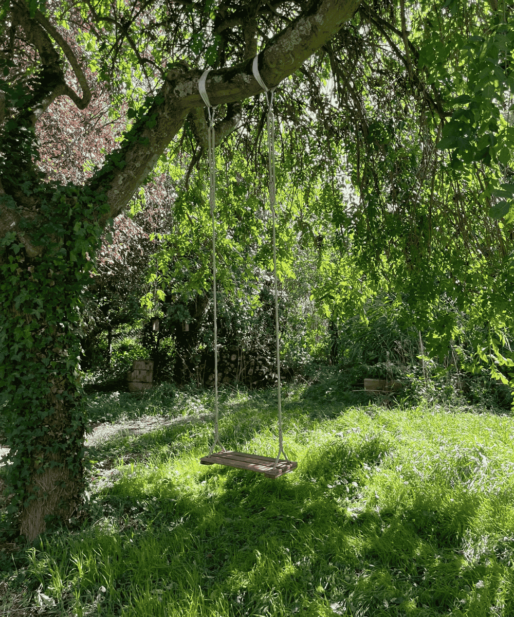 Balançoire arbre