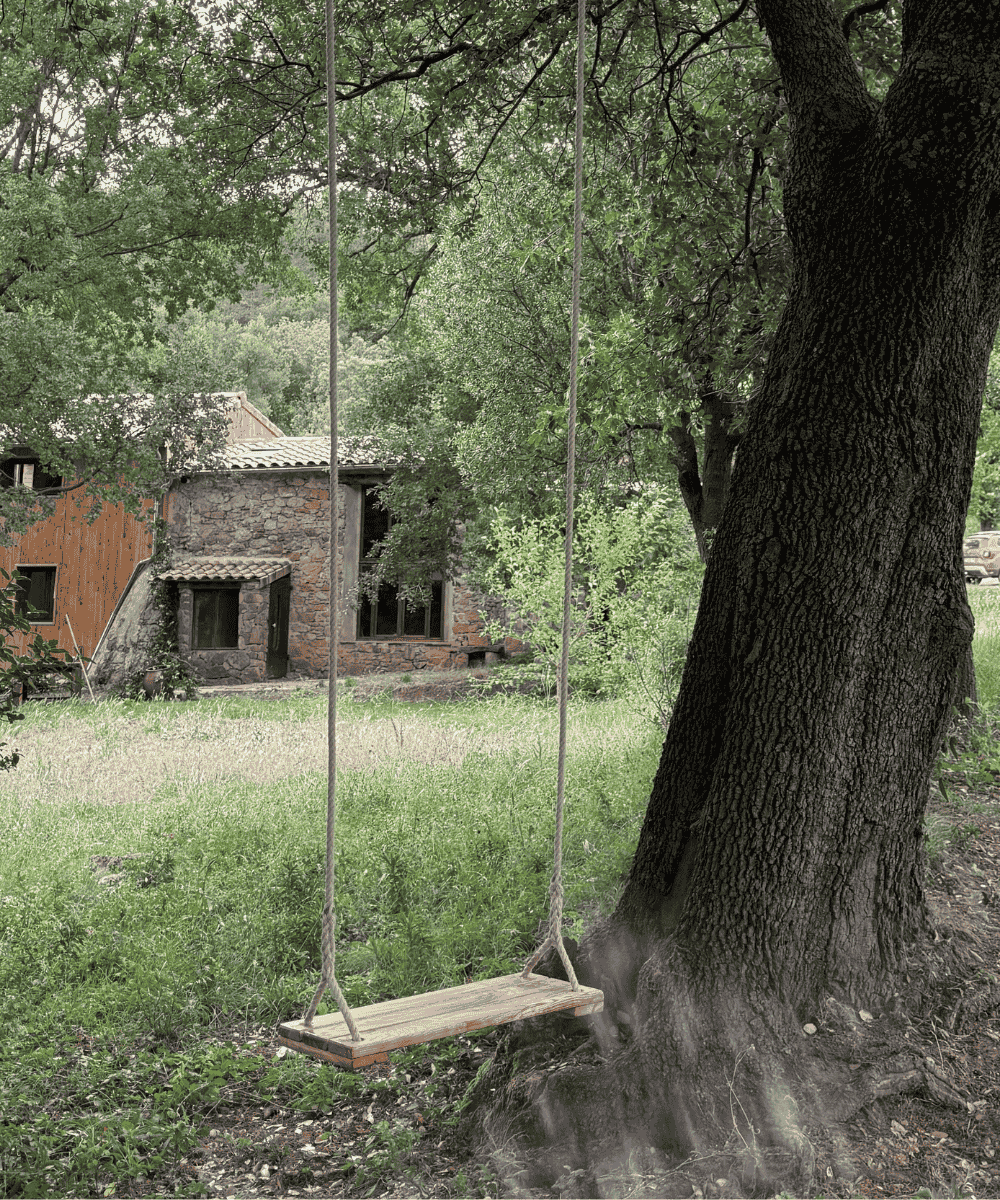 Balançoire arbre