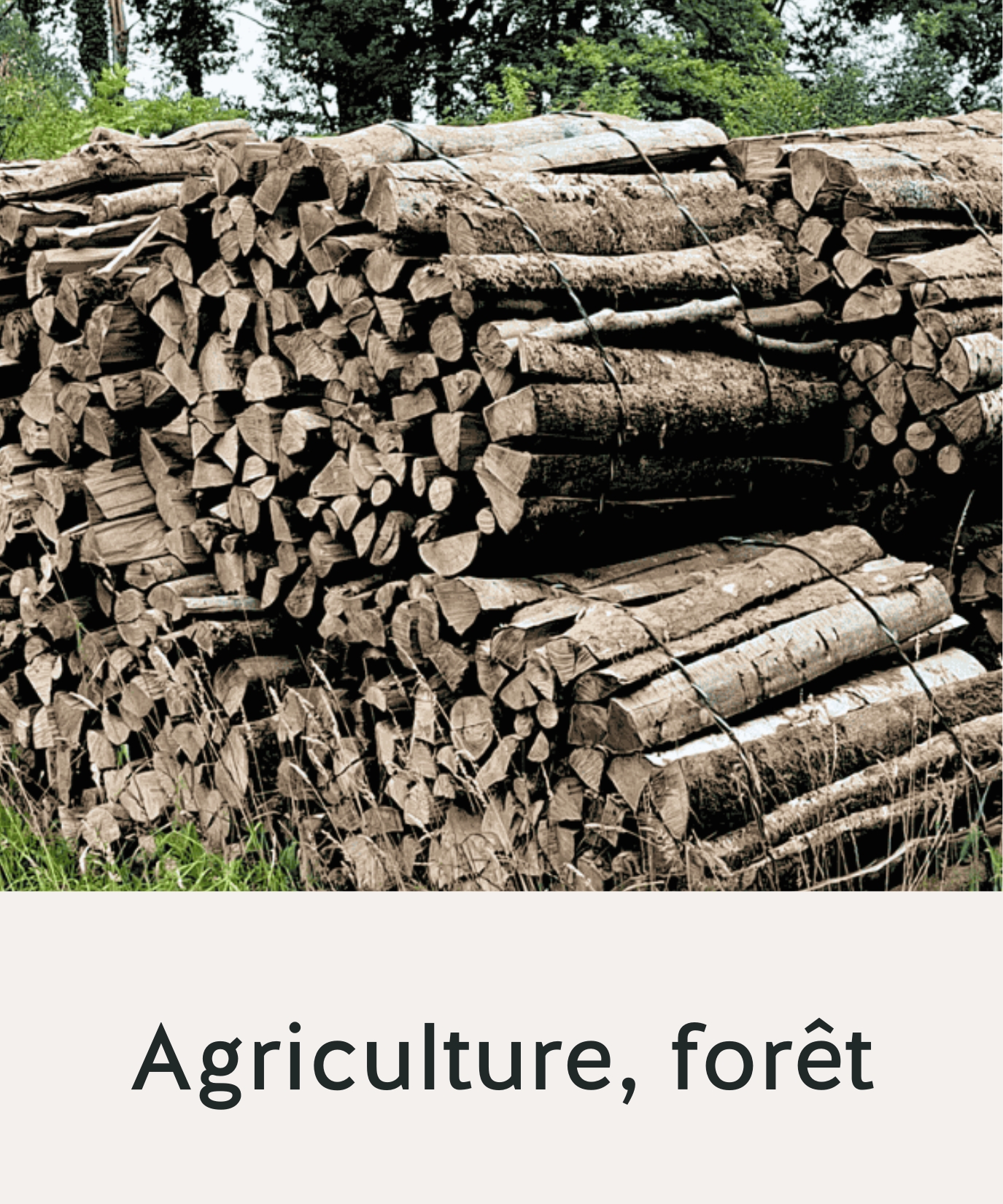 Agriculture et forêt