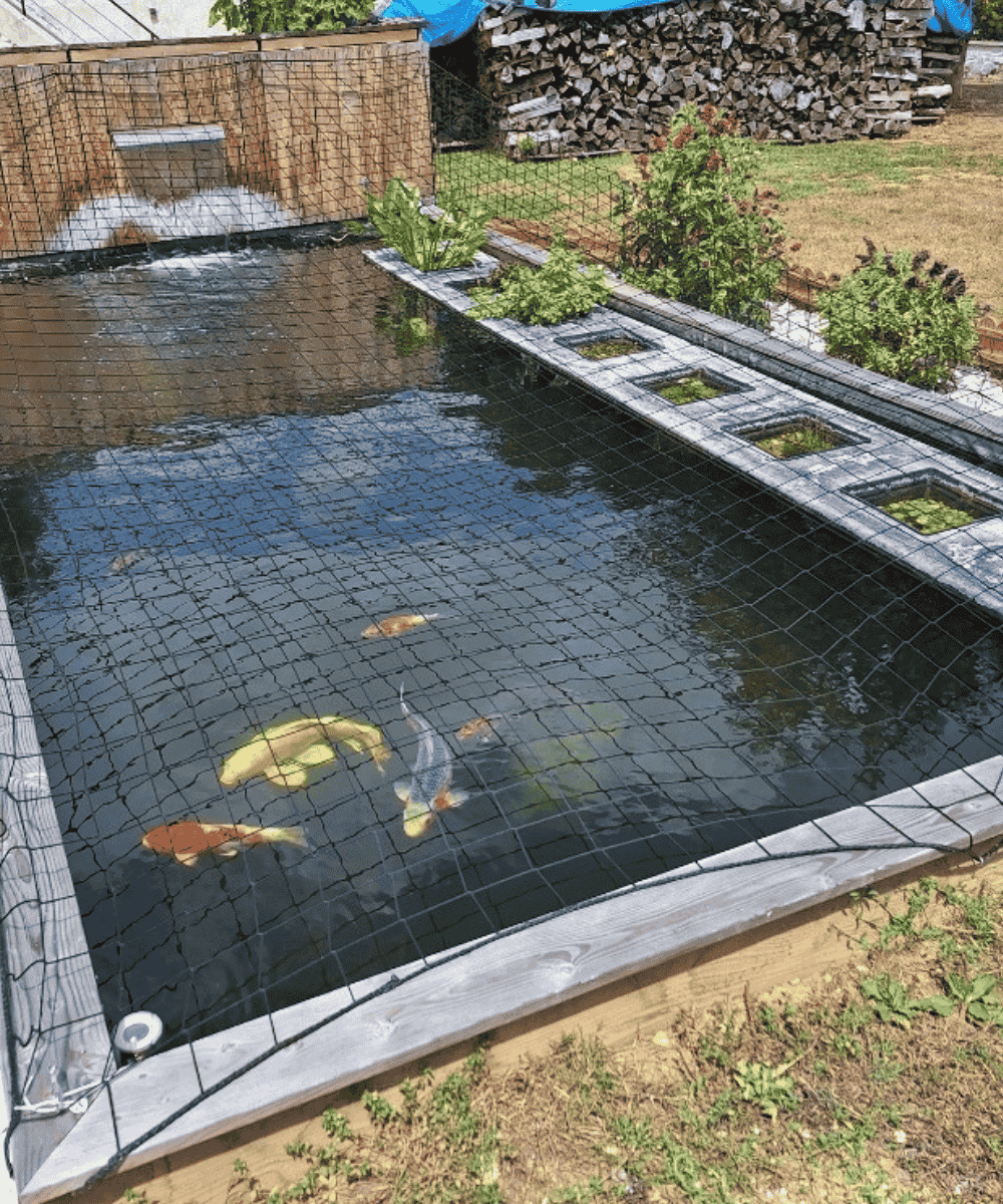Filet de protection bassin carpes koï