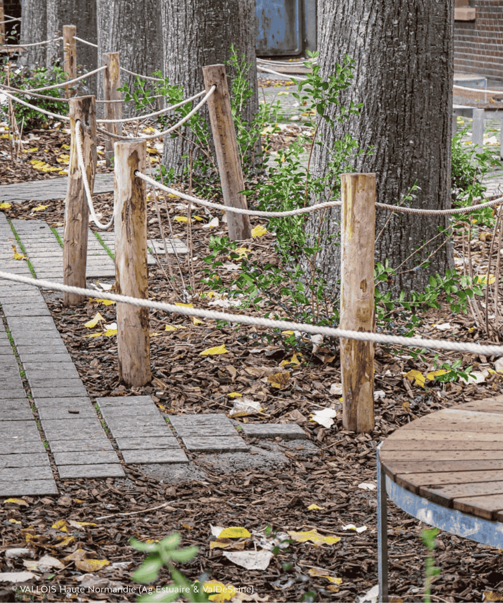 Corde cloture école