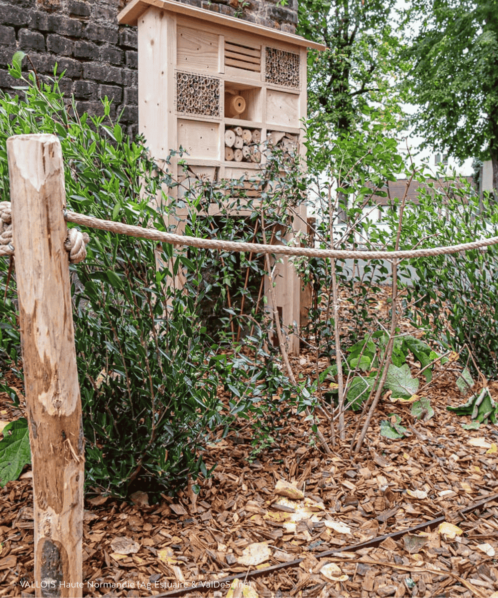 Corde cloture école