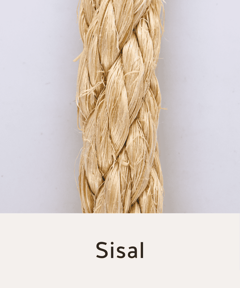 Sisal