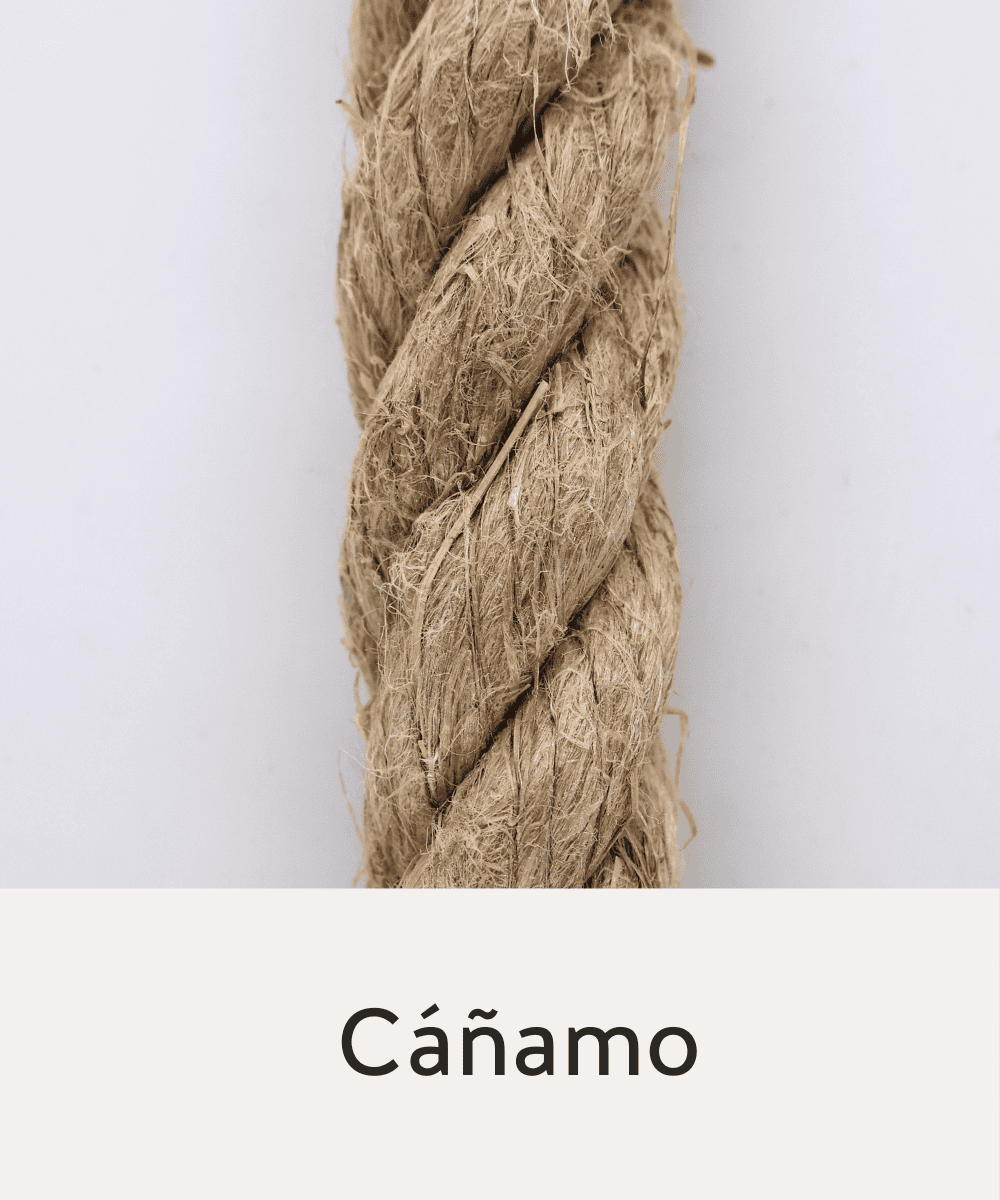 Canamo
