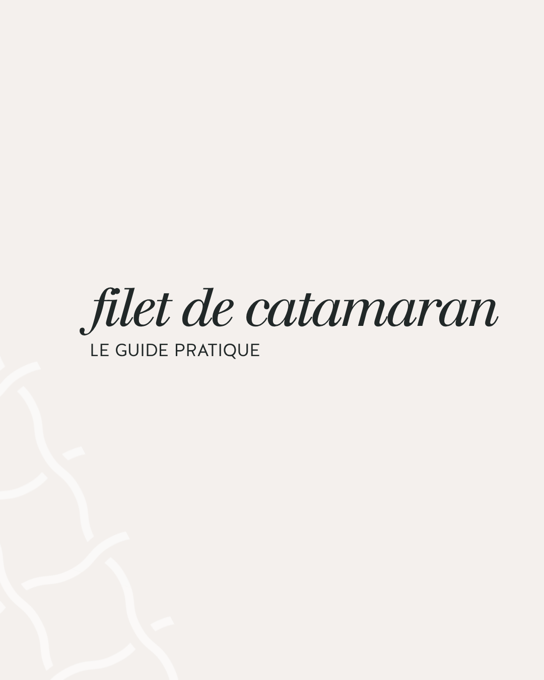 Filet trampoline catamaran guide