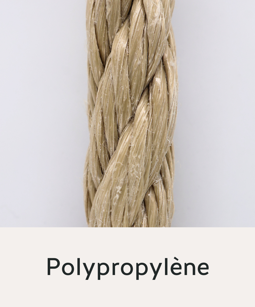 Polypropylène