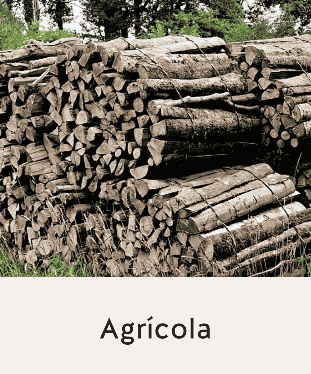 Agricola