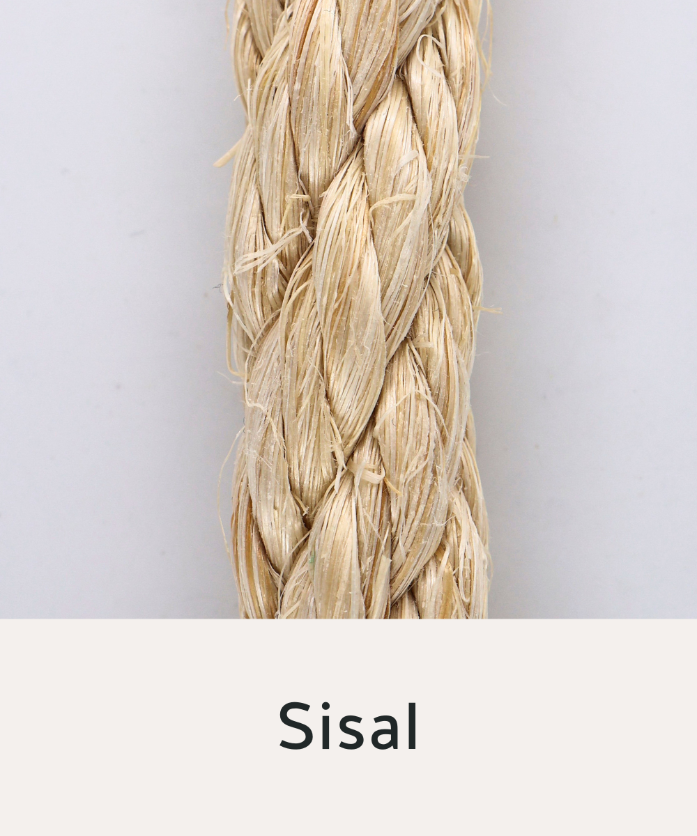 Sisal